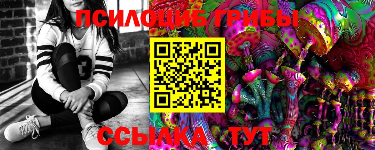 Ликино-Дулёво  Псилоцибиновые грибы Cubensis  Вход с VPN 