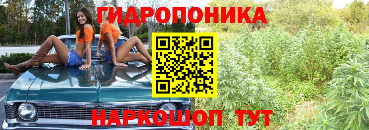 Канабис план Ликино-Дулёво